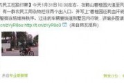 碧桂园爆料事件视频播放,揭秘背后真相与争议
