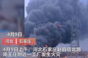 河北学校爆料事件视频曝光,真相揭开，引发社会关注
