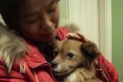 狗子黑料爆料视频下载,视频爆料背后的真相与争议