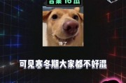 娱乐吃瓜上线,揭秘娱乐圈最新热点，带你领略明星幕后故事