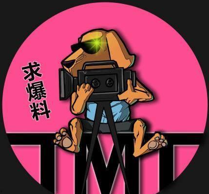 娱乐吃瓜和导演的区别